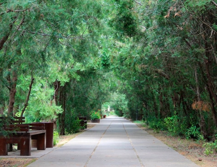 Санаторий «Саки»